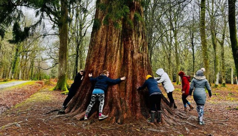 New Forest Retreats